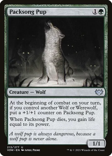 Packsong Pup 213