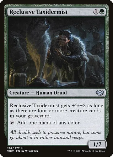 Reclusive Taxidermist 214