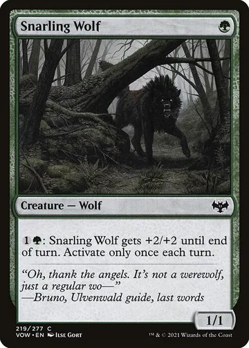 Snarling Wolf 219