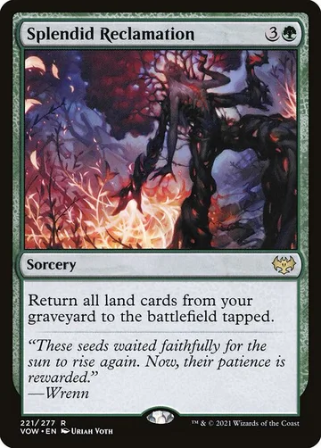 Splendid Reclamation 221