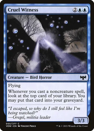 Cruel Witness 55
