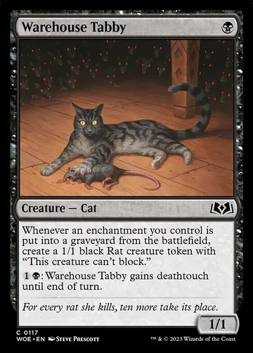 Warehouse Tabby 117