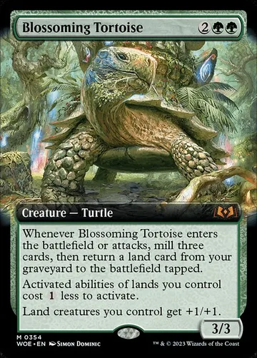 Blossoming Tortoise 354