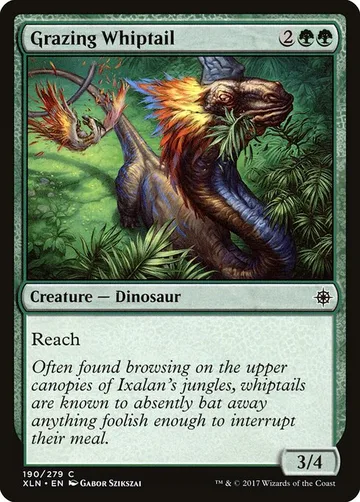 Grazing Whiptail