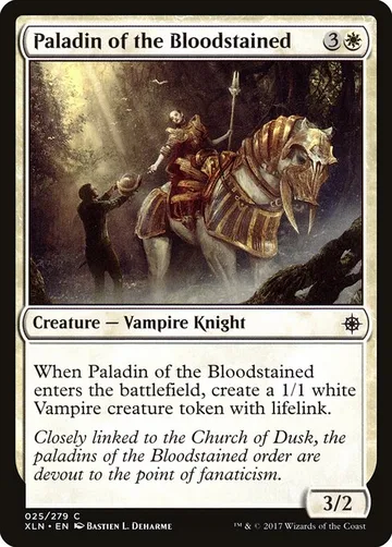 Paladin of the Bloodstained 25