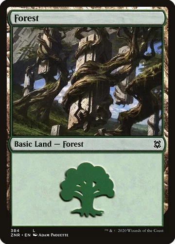 Forest 384