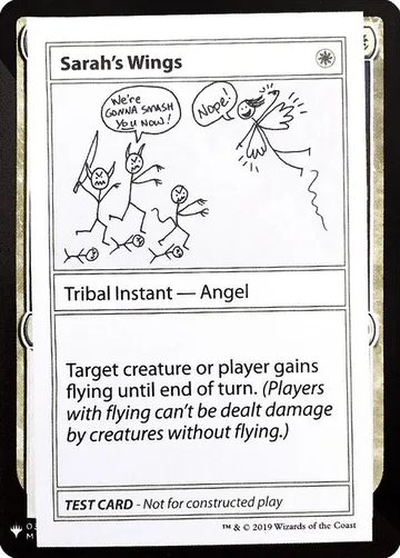 Sarah's Wings 11
