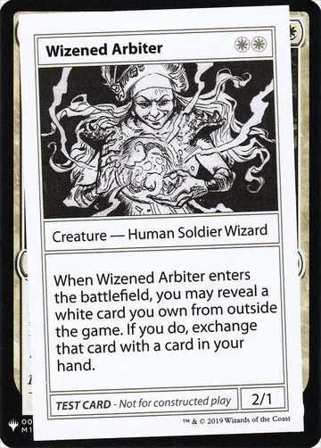Wizened Arbiter 14