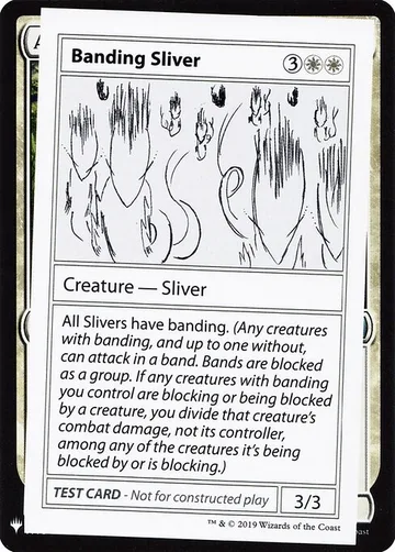Banding Sliver 2