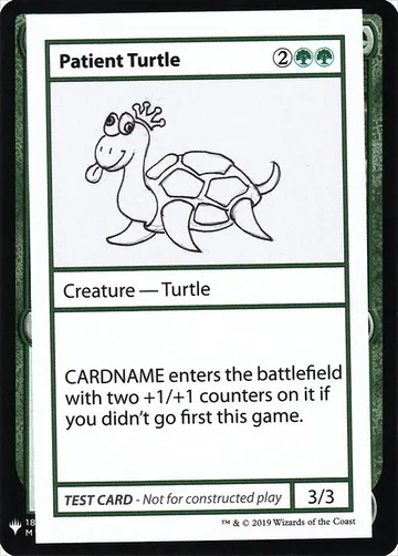 Patient Turtle 82