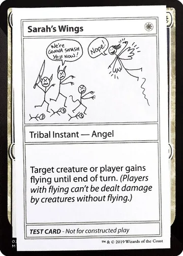 Sarah's Wings 11