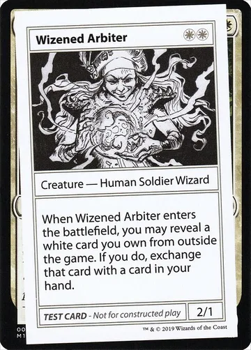 Wizened Arbiter 14