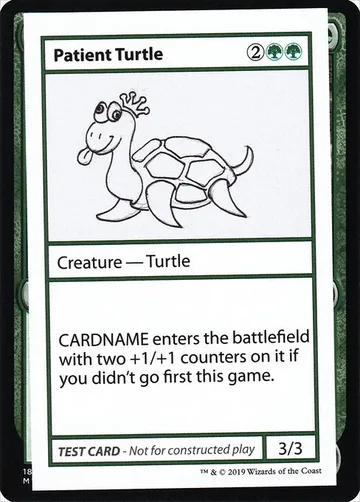 Patient Turtle 82