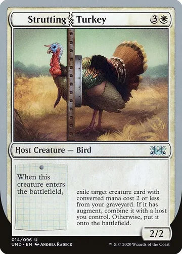 Strutting Turkey 14