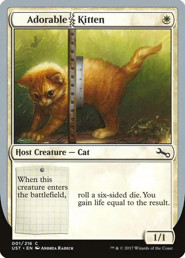 Adorable Kitten 1