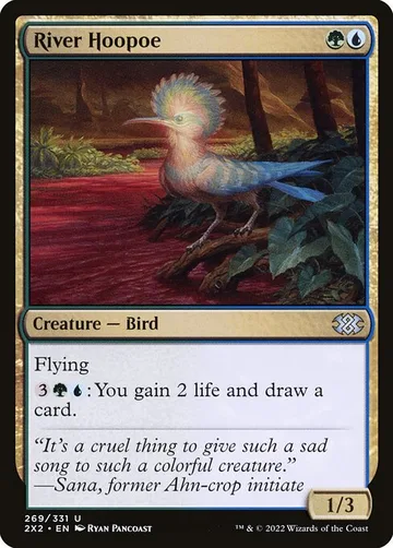 River Hoopoe 269