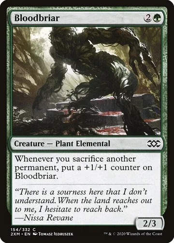 Bloodbriar 154