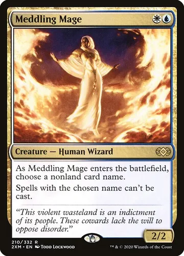 Meddling Mage 210