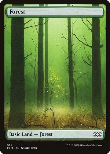 Forest 381