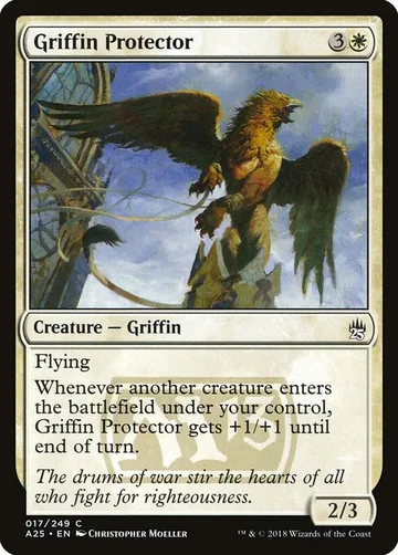 Griffin Protector 17