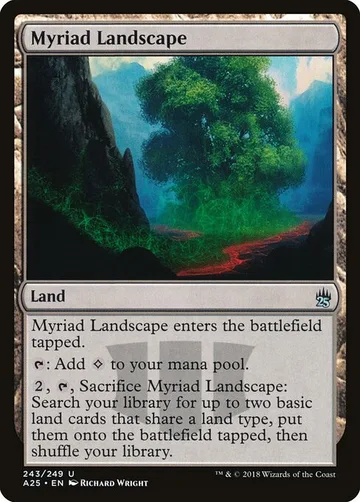 Myriad Landscape 243