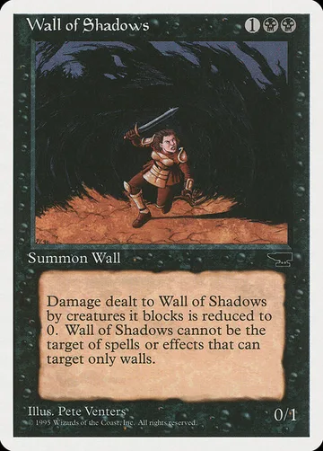 Wall of Shadows 41