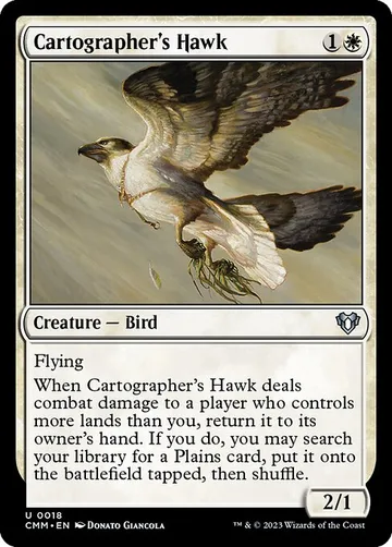 Cartographer's Hawk 18