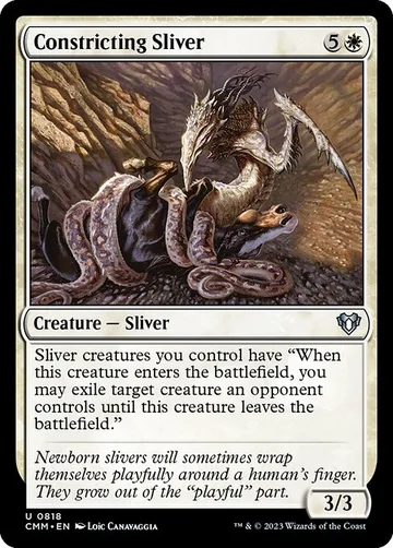 Constricting Sliver 818