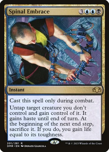 Spinal Embrace 201