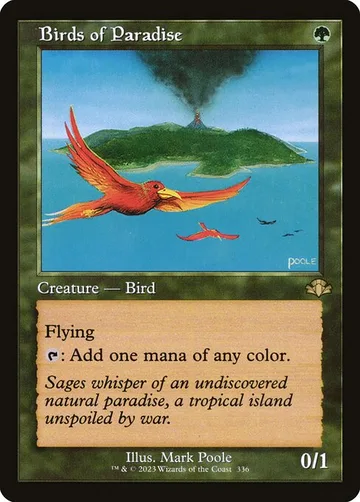 Birds of Paradise 336