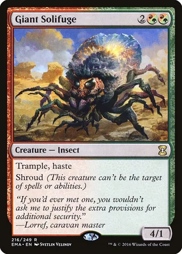 Giant Solifuge 216