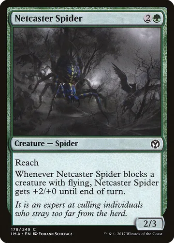 Netcaster Spider 178