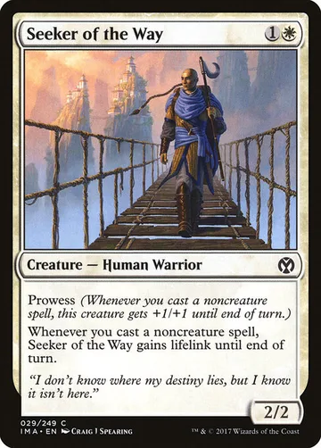 Seeker of the Way 29