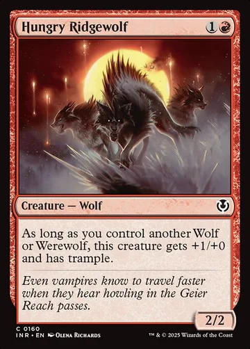 Hungry Ridgewolf 160