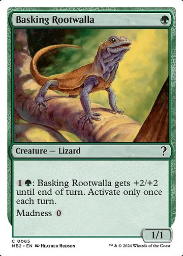 Basking Rootwalla 65