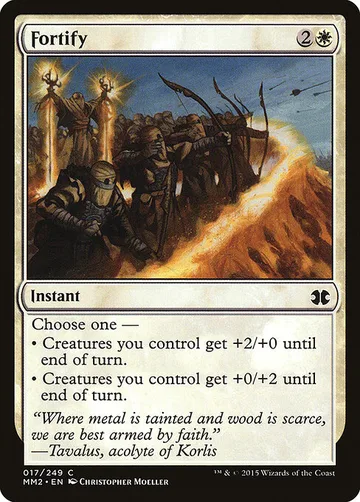 Fortify 17