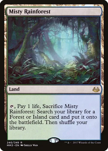 Misty Rainforest 240