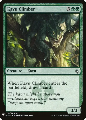 Kavu Climber A25-175
