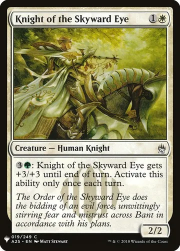 Knight of the Skyward Eye A25-19