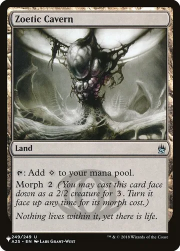 Zoetic Cavern A25-249