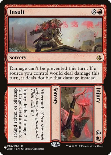 Insult // Injury AKH-213
