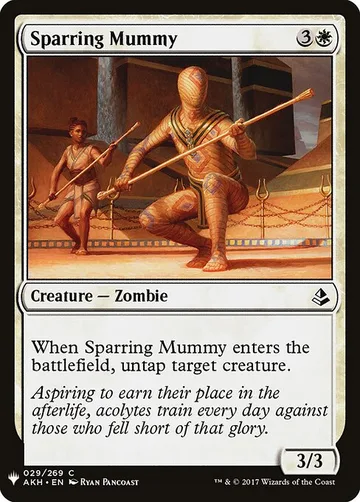 Sparring Mummy AKH-29