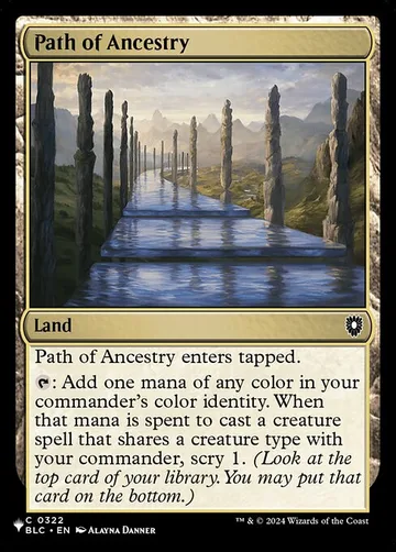 Path of Ancestry BLC-322