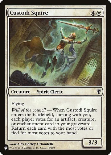 Custodi Squire CNS-18