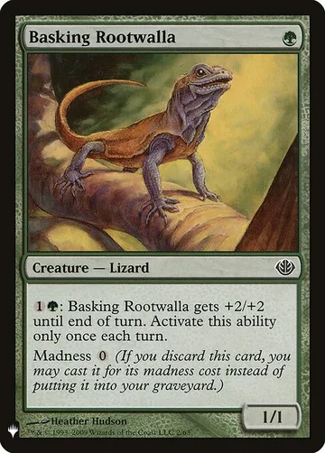 Basking Rootwalla DDD-2