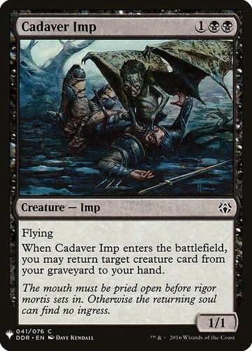 Cadaver Imp DDR-41