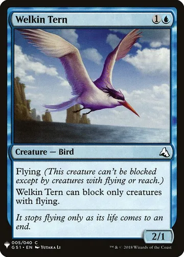 Welkin Tern GS1-5