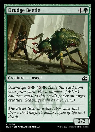 Drudge Beetle 136