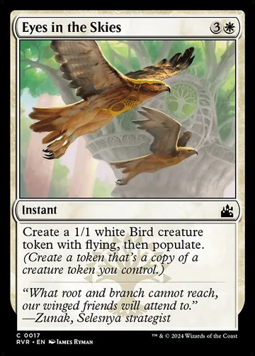 Eyes in the Skies 17