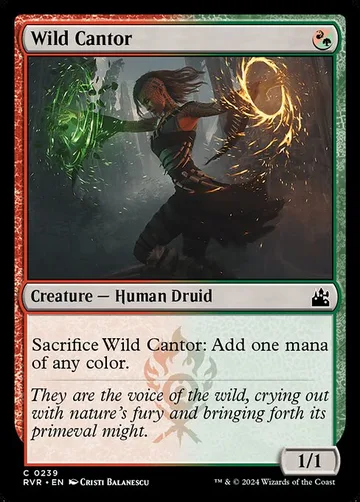 Wild Cantor 239